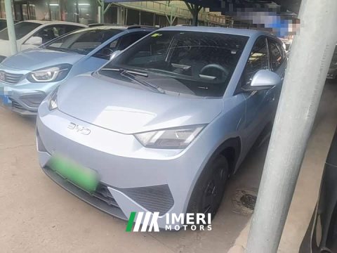 2025 BYD Seagull Smart Drive 305km Vitality Edition - ავტომობილი ჩინეთიდან