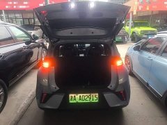 BYD Seagull Smart Drive 305km Vitality Edition - фото 18