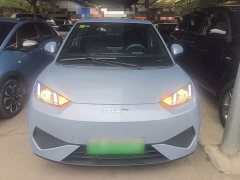 BYD Seagull Smart Drive 305km Vitality Edition - фото 2