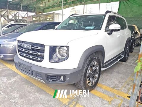 2022 Great Wall Dachshund Facelift 2.0T DCT Four-wheel Drive Xiaotian Dog Edition - car from China