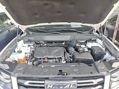 Great Wall Dachshund Facelift 2.0T DCT Four-wheel Drive Xiaotian Dog Edition - photo 19