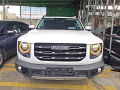 Great Wall Dachshund Facelift 2.0T DCT Four-wheel Drive Xiaotian Dog Edition - photo 2