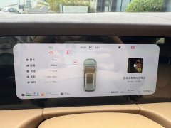 AITO Wenjie M7 1.5T Intelligent Driving AWD Max 6-Seater - фото 13