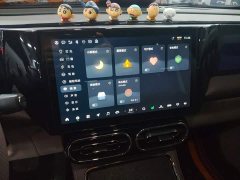 Leapmotor C11 Luxury - photo 17
