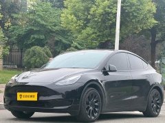 Tesla Model Y Rear-Wheel Drive - фото 1