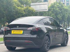 Tesla Model Y Rear-Wheel Drive - фото 10