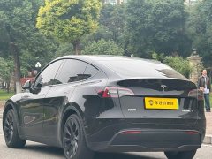 Tesla Model Y Rear-Wheel Drive - фото 12