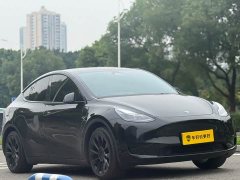 Tesla Model Y Rear-Wheel Drive - фото 3