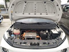 Geely Geometry E Firefly 401km Fluorescent - ფოტო 19