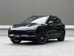 Porsche Cayenne S 2.9T Platinum Edition - фото 1