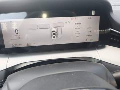 Geely Xingrui Oriental Radiance 2.0T Diesel Moonlight Edition - photo 11