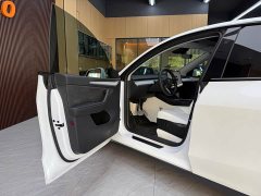 Tesla Model Y Long Range All-Wheel Drive - ფოტო 10