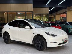 Tesla Model Y Long Range All-Wheel Drive - ფოტო 3