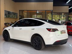 Tesla Model Y Long Range All-Wheel Drive - ფოტო 4