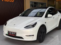 Tesla Model Y Long Range All-Wheel Drive - ფოტო 9