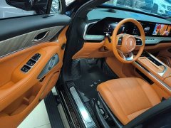 Great Wall WEY Blue Mountain Four-Wheel Drive Extended Range Version - ფოტო 15