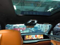 Great Wall WEY Blue Mountain Four-Wheel Drive Extended Range Version - ფოტო 17