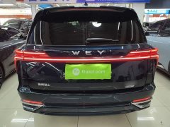 Great Wall WEY Blue Mountain Four-Wheel Drive Extended Range Version - ფოტო 5