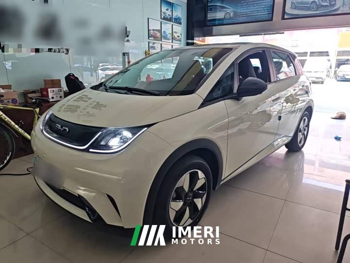 BYD Dolphin 420km Freedom Edition - ავტომობილი ჩინეთიდან