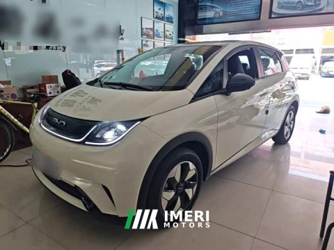 2026 BYD Dolphin 420km Freedom Edition - ავტომობილი ჩინეთიდან