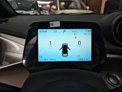 BYD Dolphin 420km Freedom Edition - ფოტო 11