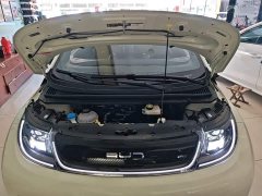 BYD Dolphin 420km Freedom Edition - ფოტო 19