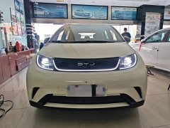BYD Dolphin 420km Freedom Edition - ფოტო 2
