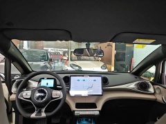 BYD Dolphin 420km Freedom Edition - ფოტო 9