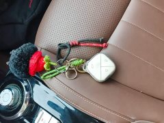 Wuling Binguo 410km Lingxi Premium Edition - ფოტო 8