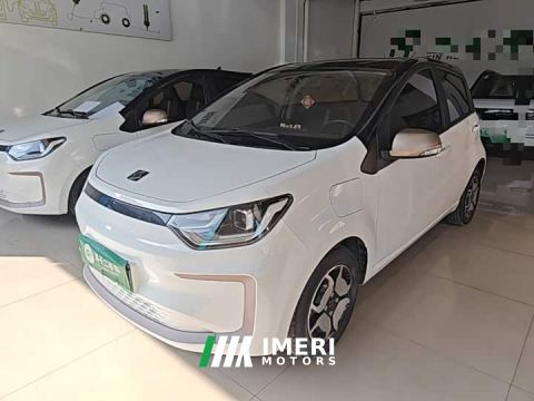 2022 JAC Flower Fairy Jimei Edition 302km Luxury