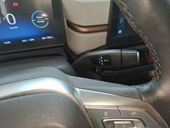 JAC Flower Fairy Jimei Edition 302km Luxury - ფოტო 13