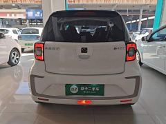 JAC Flower Fairy Jimei Edition 302km Luxury - ფოტო 5