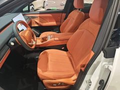 Nio Lerado L60 60kWh AWD - photo 14