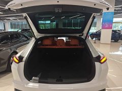 Nio Lerado L60 60kWh AWD - photo 18