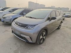 BYD Dolphin 420km Fashion Edition - photo 1