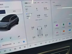 Li Auto L9 Max - ფოტო 11
