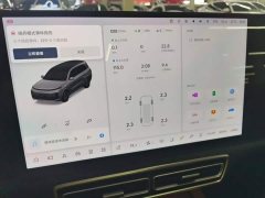 Li Auto L9 Max - ფოტო 12