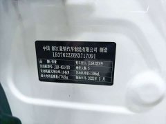 Geely Bingyue 1.4T DCT Platinum Edition - photo 6