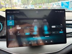 BYD EV AWDPerformance EditionFlagship Version - ფოტო 20