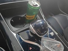 BYD Qin Plus DM-i 120KM Flagship - ფოტო 13