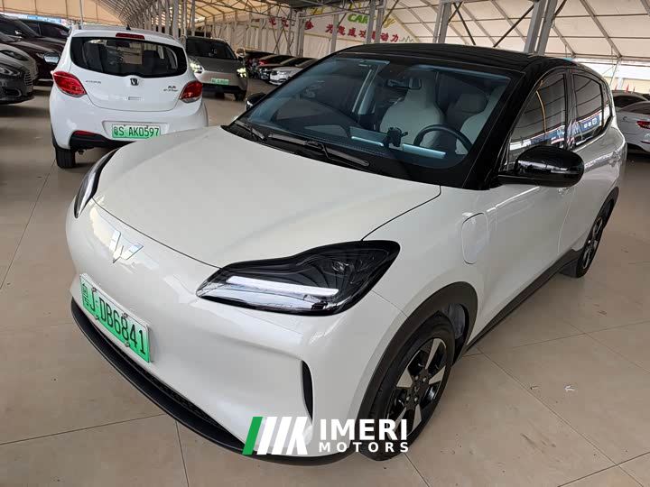 Wuling Binguo PLUS 330km 5-Seater