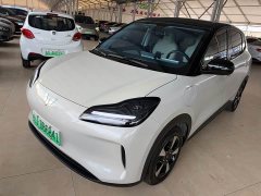 Wuling Binguo PLUS 330km 5-Seater - ფოტო 1