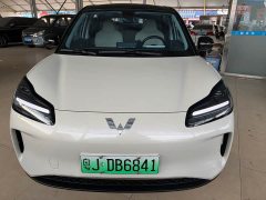 Wuling Binguo PLUS 330km 5-Seater - ფოტო 3