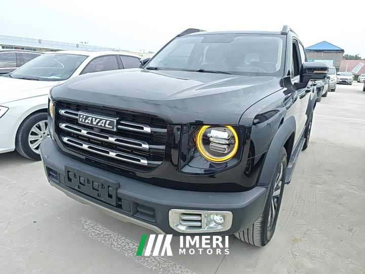Great Wall Dachshund 1.5T DCT Two-Wheel Drive Labrador Edition - автомобиль из Китая