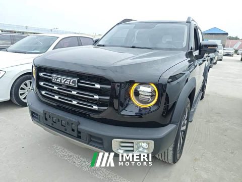 2021 Great Wall Dachshund 1.5T DCT Two-Wheel Drive Labrador Edition - car from China