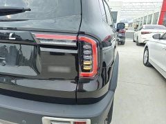Great Wall Dachshund 1.5T DCT Two-Wheel Drive Labrador Edition - фото 7