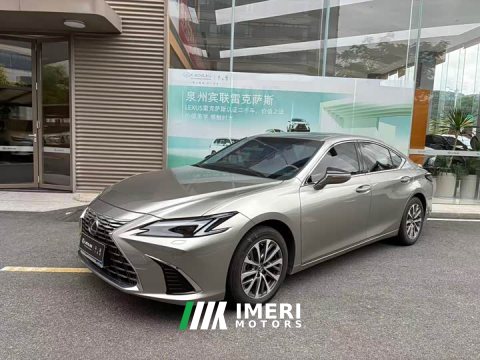 2025 Lexus ES 300h Premium Edition - car from China