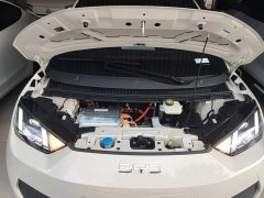 BYD Seagull Smart Driving Edition 305km Freedom Edition - фото 19