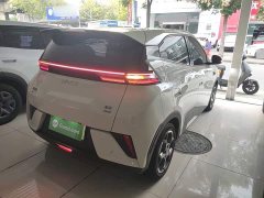 BYD Seagull Smart Driving Edition 305km Freedom Edition - фото 6