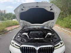 BMW 5 Series Facelift 530Li Leading Edition Luxury Package - photo 10
